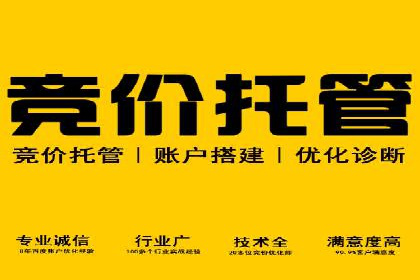 SEM托管服务成功案例：见证品牌成长